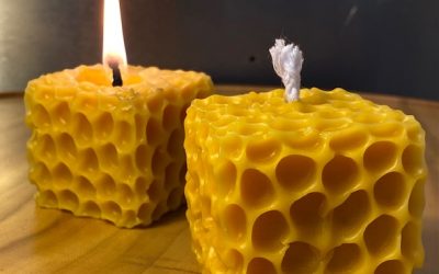 Our Beeswax Products